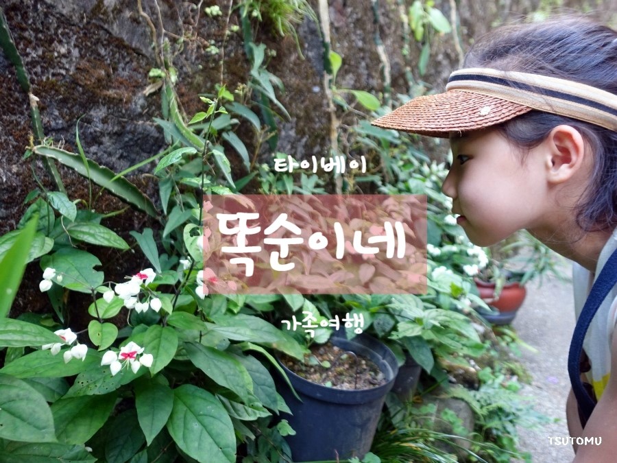 똑순이투어 이미지