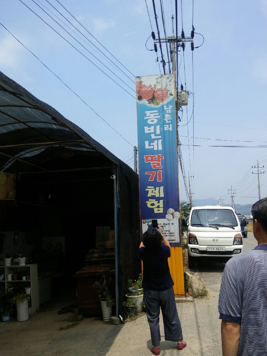 동빈네딸기체험 이미지