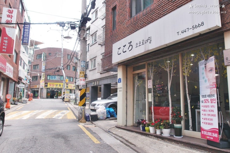 코코로네일 이미지