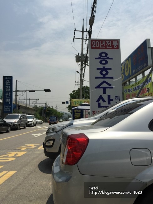 용호수산 이미지