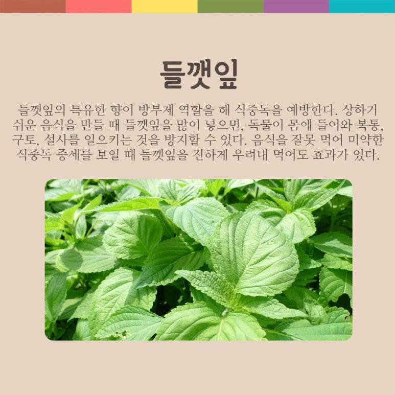 예랑식품 이미지