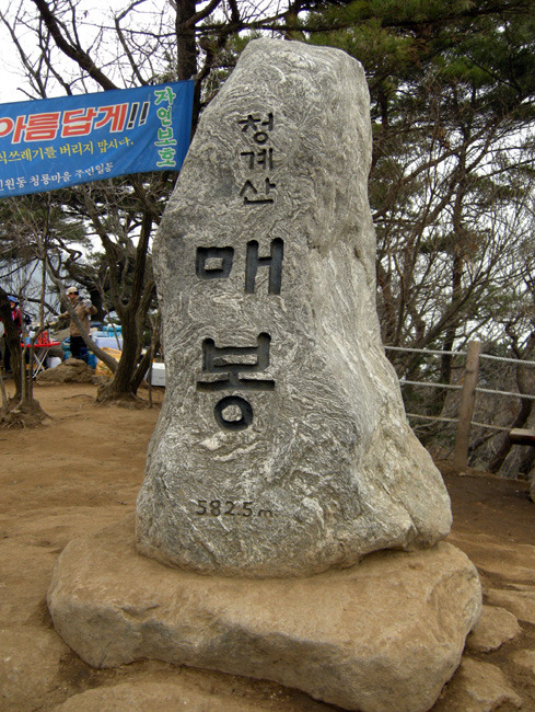 터미날6 이미지
