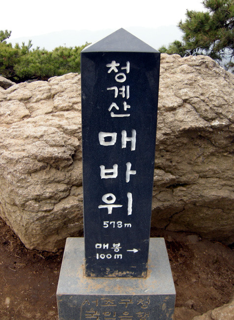 터미날6 이미지