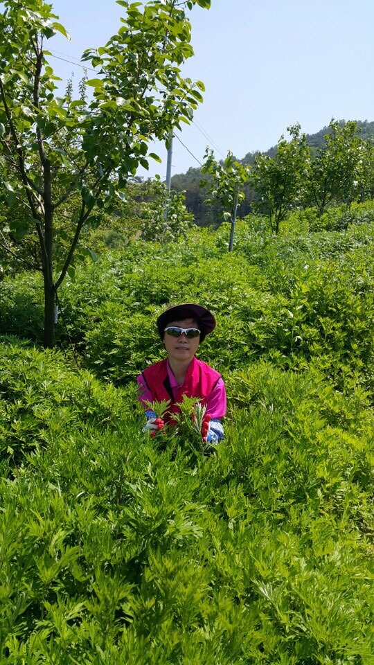 수정떡방앗간 이미지