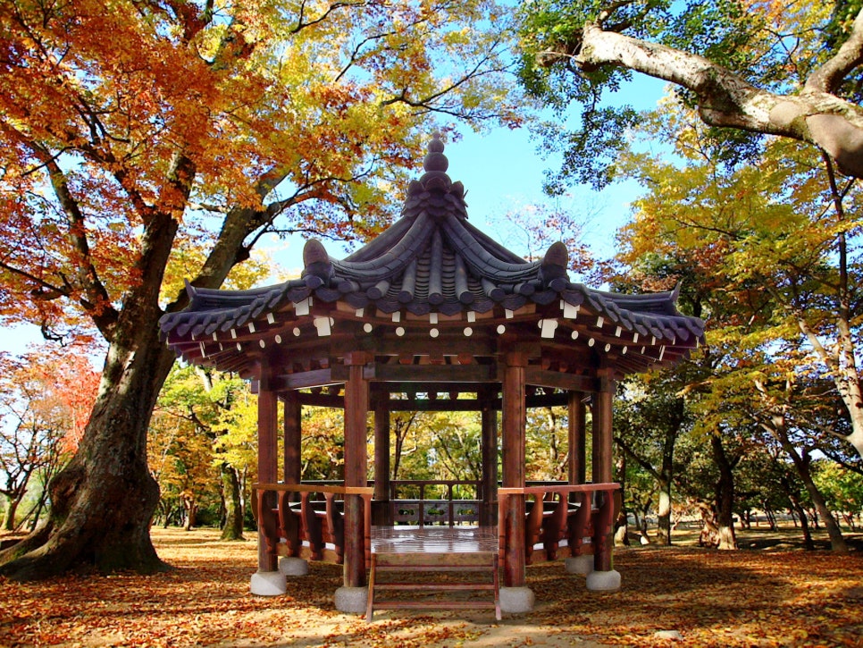 (주)청마루 이미지