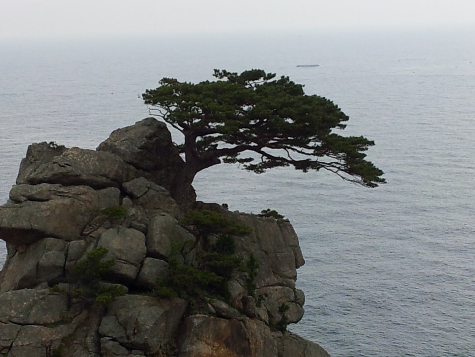 그대일번지 이미지