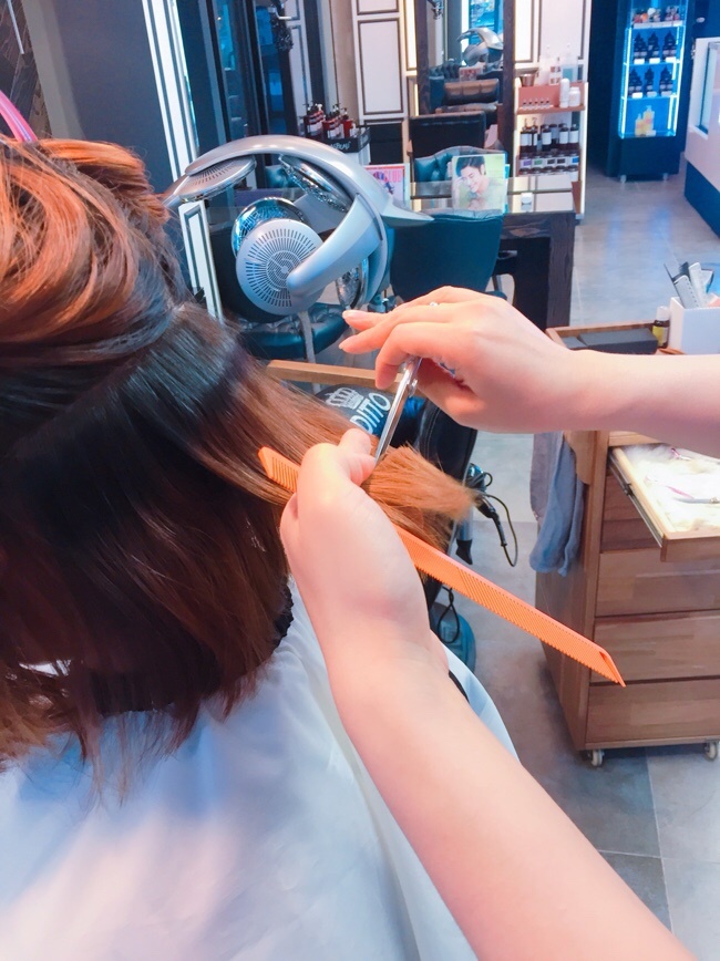 디토헤어 이미지