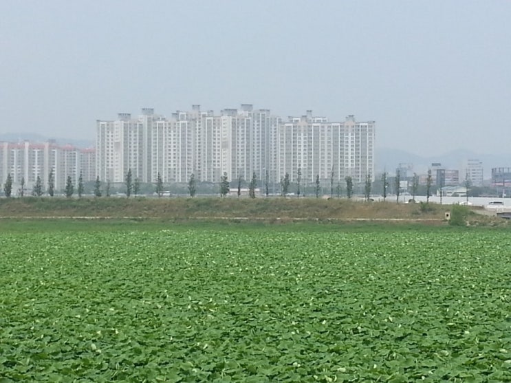 호수노래주점 이미지