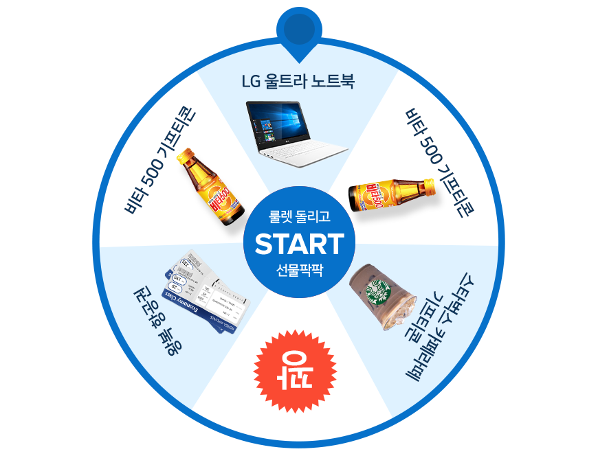 감자유학 이미지