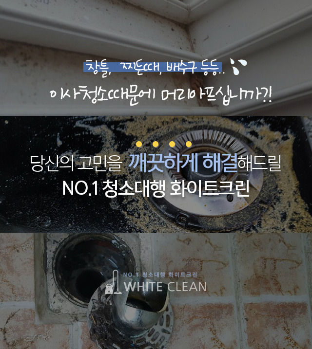 유명크린 이미지