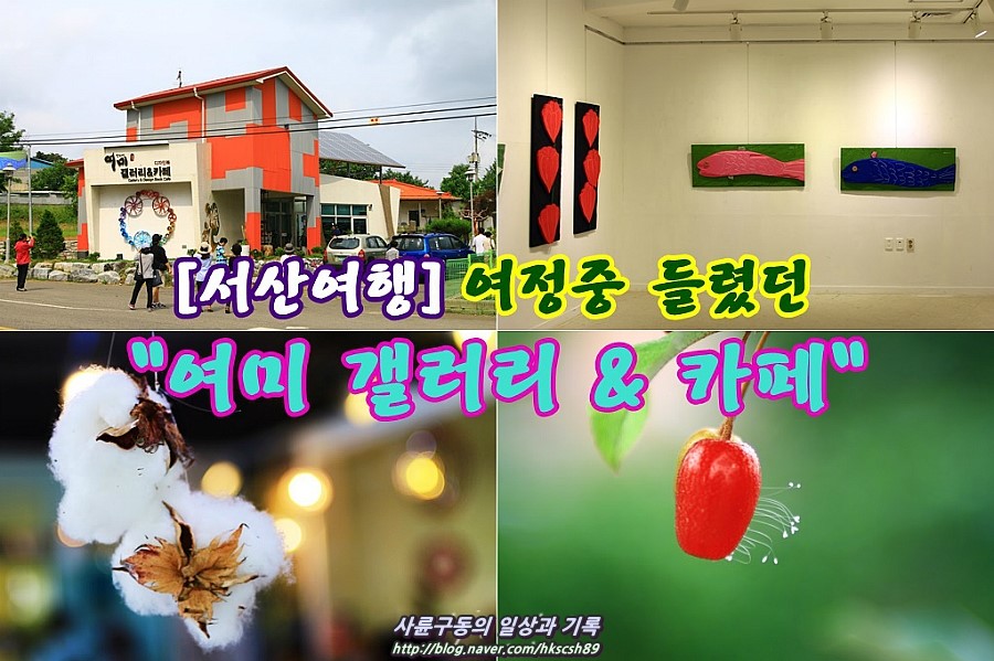 여미갤러리 이미지