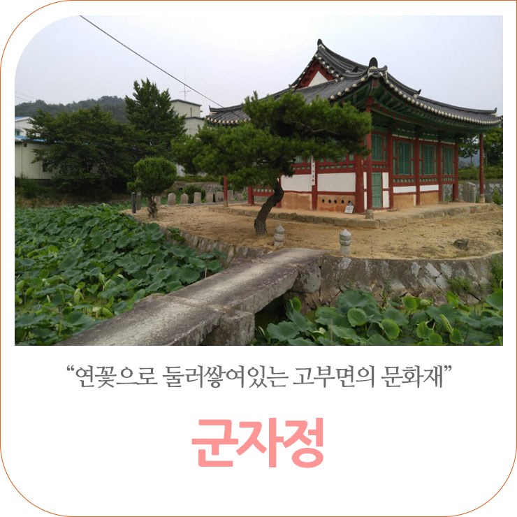 연향기가 이미지