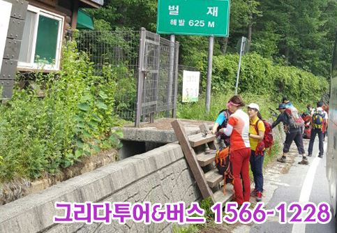 그리다투어&버스 이미지