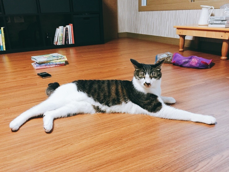 동진다방 이미지