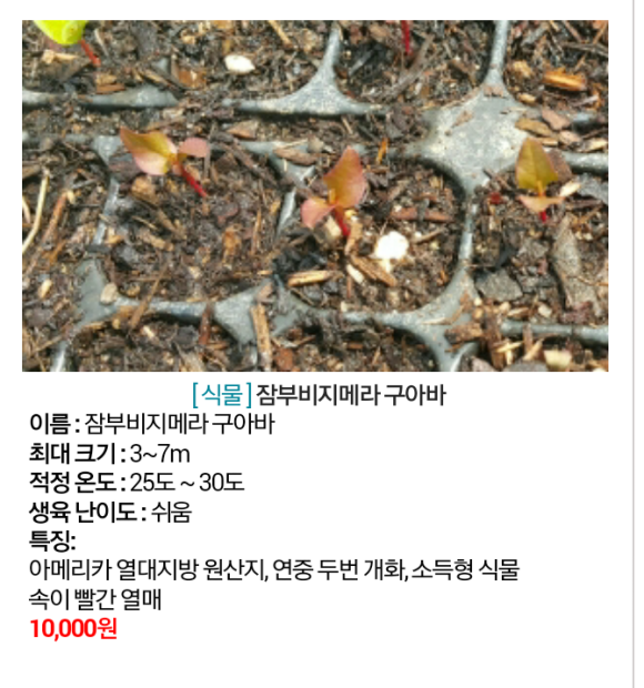 (주)씨앗 이미지