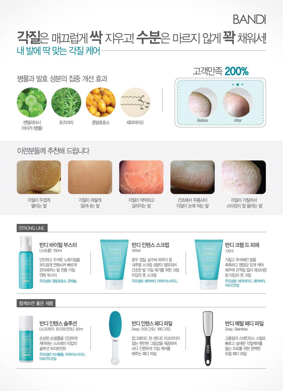 반디시스템 이미지