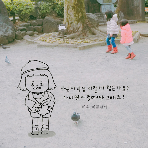 이플캘리그라피 이미지