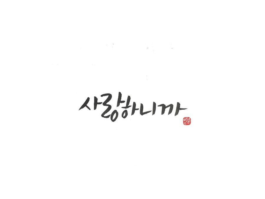 캘리송 이미지