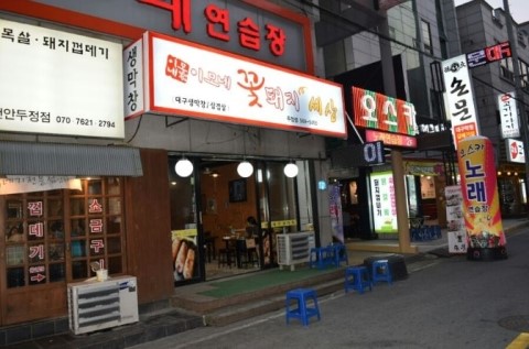 이모네꽃돼지 이미지