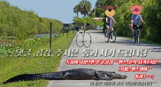 클린에어봇 이미지