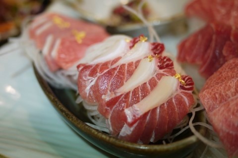 정필참치 이미지