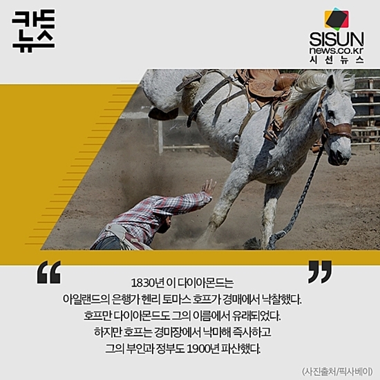 블루호프 이미지