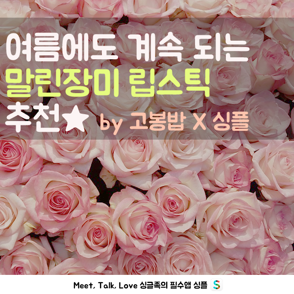 장미모텔 이미지