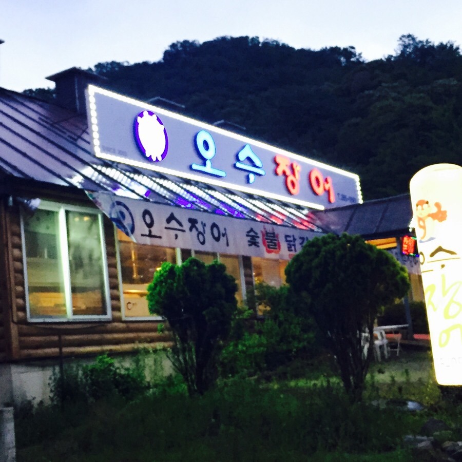 오수장어 이미지