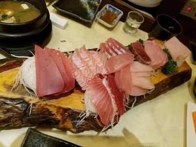 참치나라 이미지