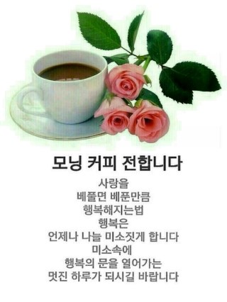 따담 이미지
