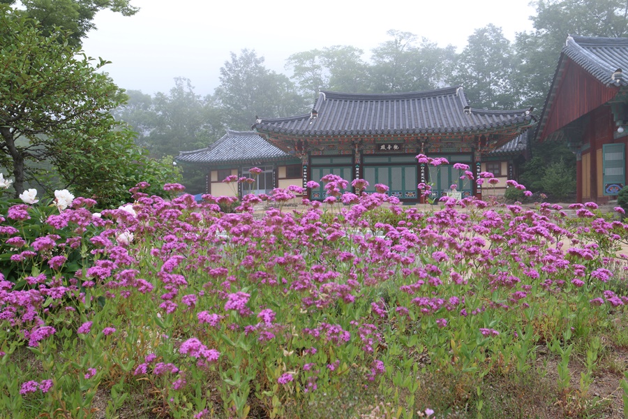 달기폭포 이미지