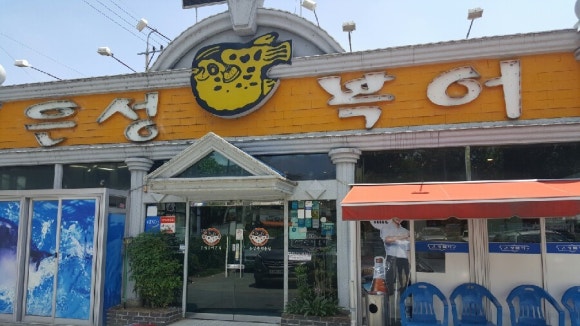 은성복어 이미지