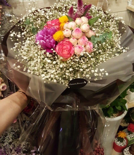 꽃집홍화 이미지
