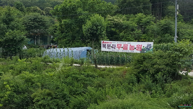 무을농원 이미지