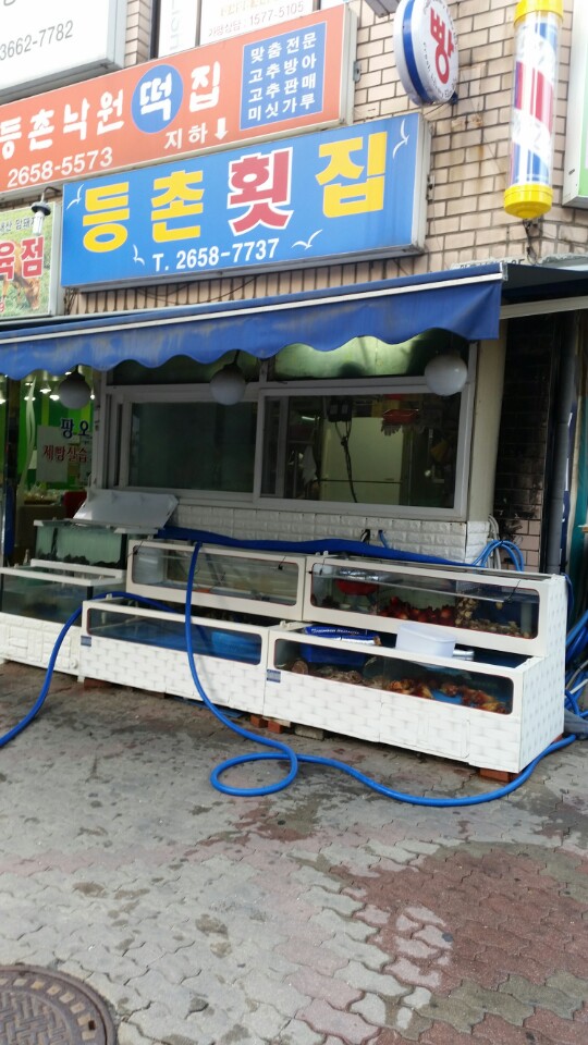 등촌회집 이미지