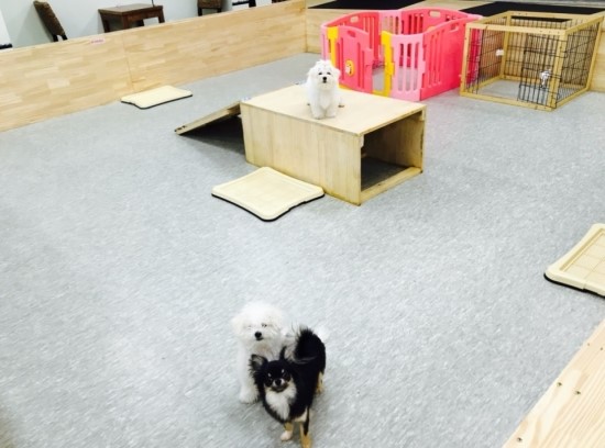 카페윤2 이미지