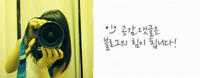 선운갈매기 이미지