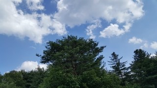 구름꽃 이미지