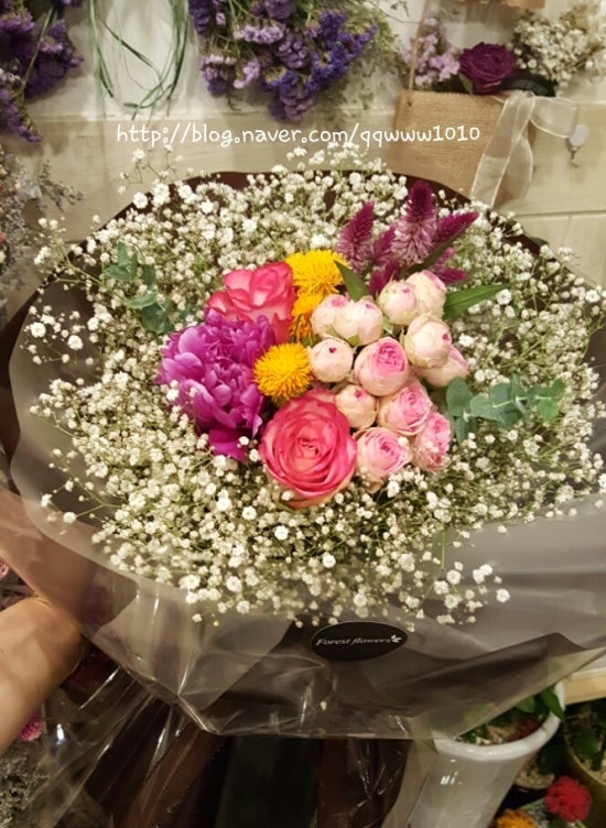 꽃집홍화 이미지