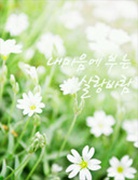 선우여행사 이미지