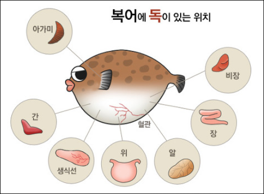 복어나라 이미지