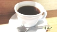커피트리(COFFEE TREE) 이미지