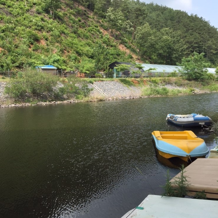 칠갑산하 이미지