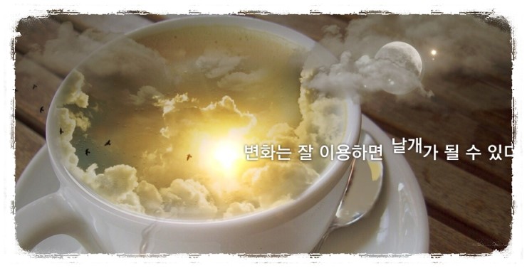 세무회계위드 이미지