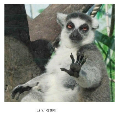 아임 꽐라 이미지