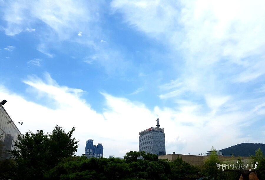신세계주 이미지
