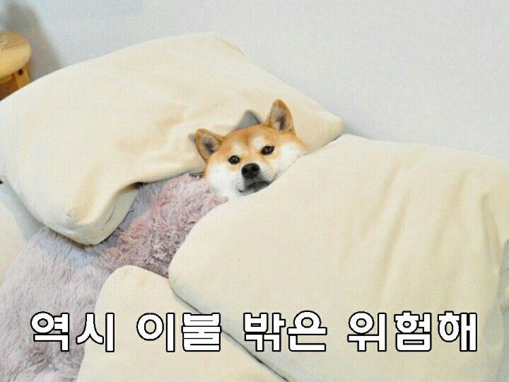 마콘도턴 이미지
