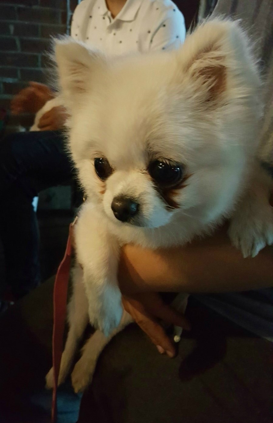 나비다방 이미지