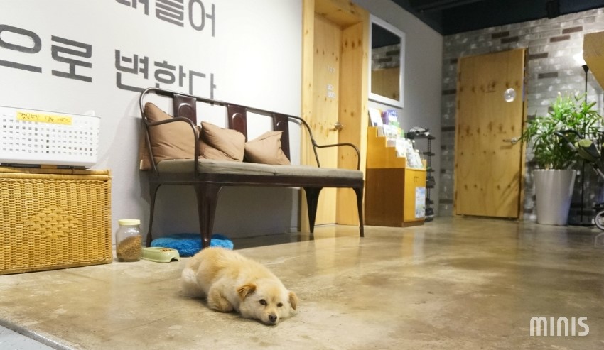 순천게스트하우스느림 이미지