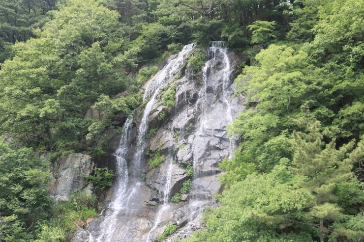 오리천국 이미지